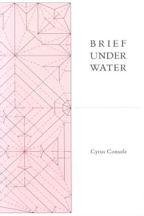 Brief Under Water, Book Cover, Cyrus Console